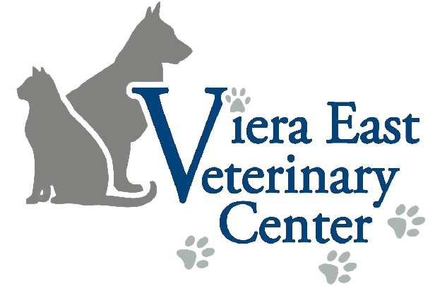 Viera East Veterinary Center Home
